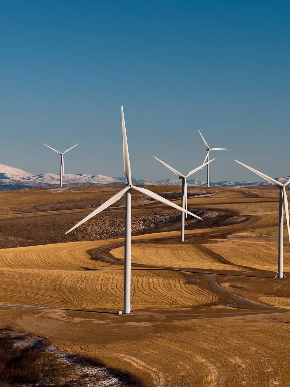 Inspection — Turbine Inspection